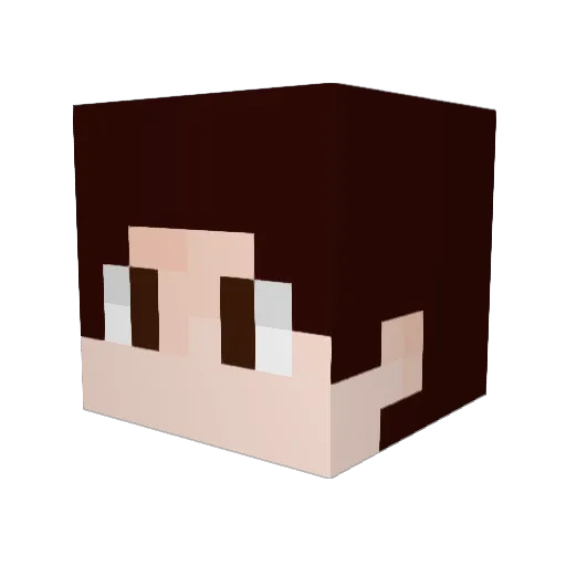 Baikun2006 Minecraft avatar head, 3D render