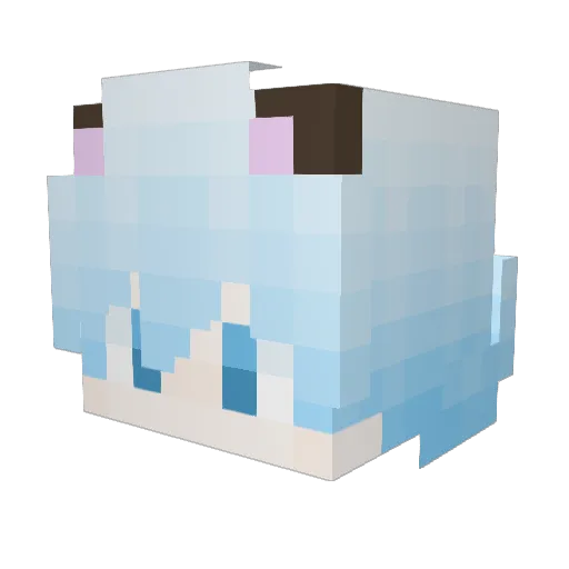 Bail1213 Minecraft avatar head, 3D render
