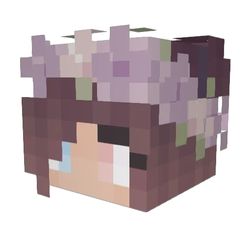 Bail3y01 Minecraft avatar head, 3D render