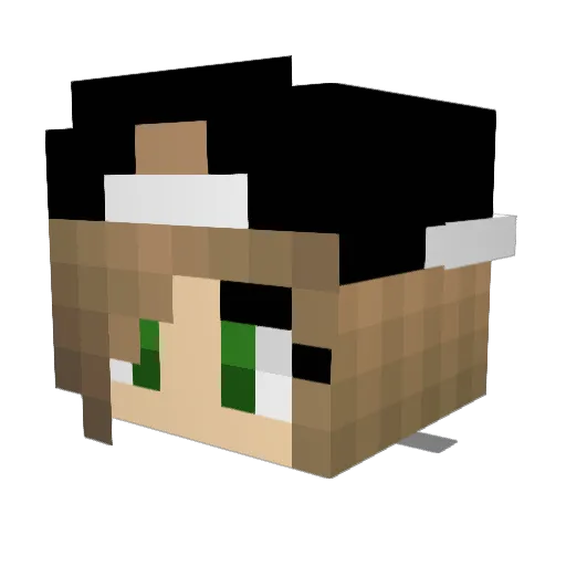 Bailee1020 Minecraft avatar head, 3D render