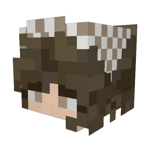 Bailey071133 Minecraft avatar head, 3D render