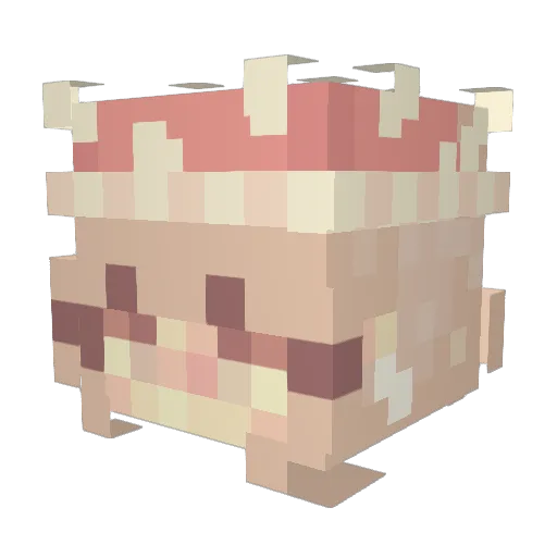 BaileyAnna15 Minecraft avatar head, 3D render