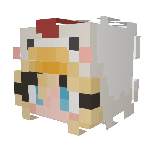 BaileyCota Minecraft avatar head, 3D render