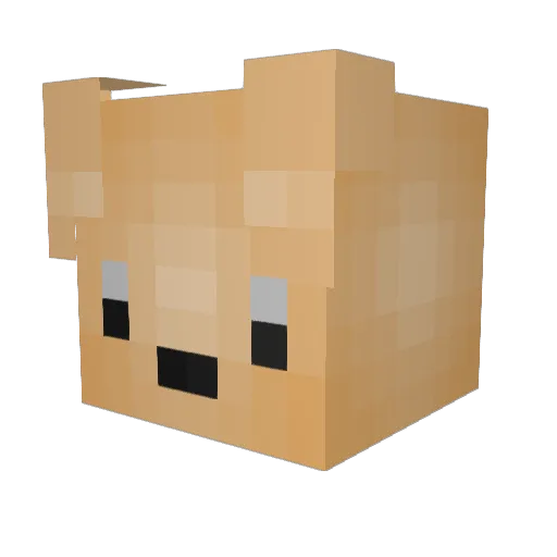 BaileyIlCucciolo Minecraft avatar head, 3D render
