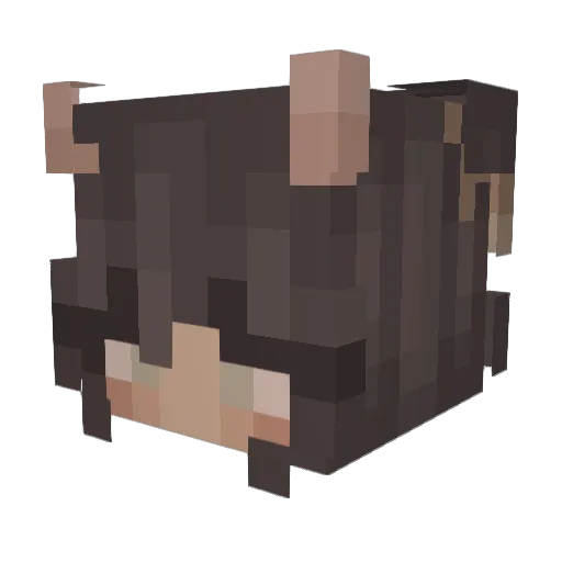 BaileyRed Minecraft avatar head, 3D render