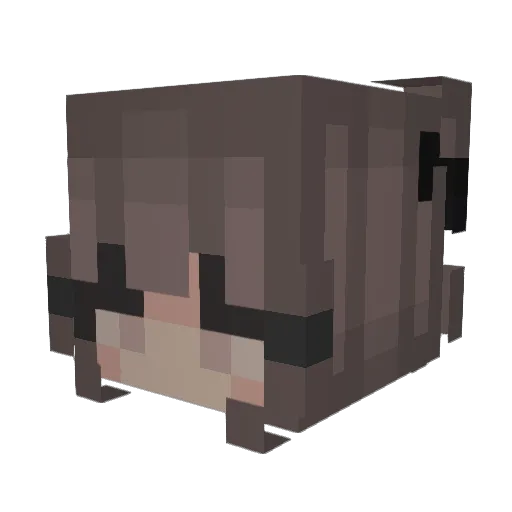 Bailey_0806 Minecraft avatar head, 3D render