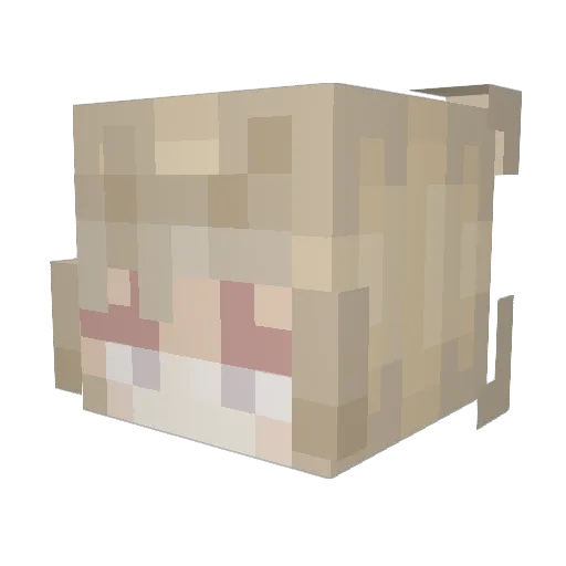 Bailey_2014 Minecraft avatar head, 3D render