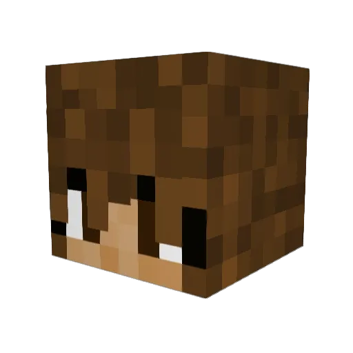 Bailey_Anne_2007 Minecraft avatar head, 3D render