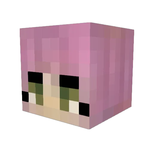 Bailey_Bee445 Minecraft avatar head, 3D render
