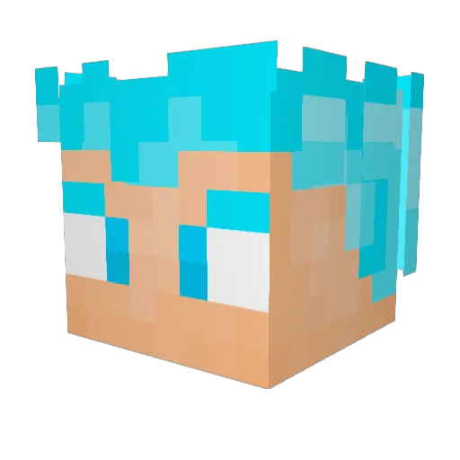 Baileyjones12 Minecraft avatar head, 3D render