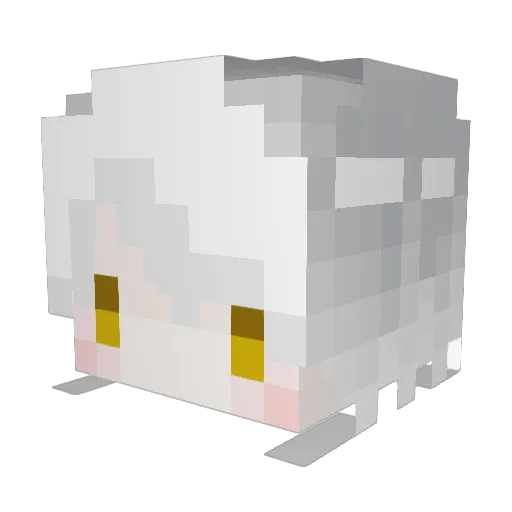 BailiConvention Minecraft avatar head, 3D render