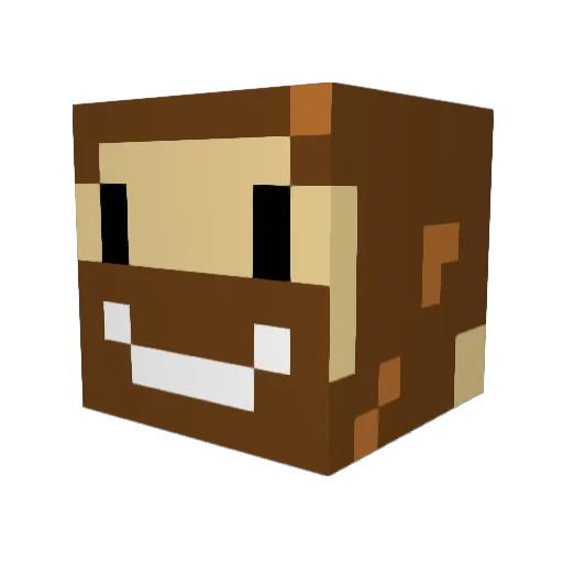 Bainbridge147 Minecraft avatar head, 3D render