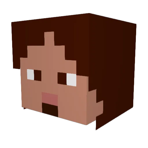 Bairdude Minecraft avatar head, 3D render