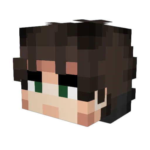 Bairs98 Minecraft avatar head, 3D render