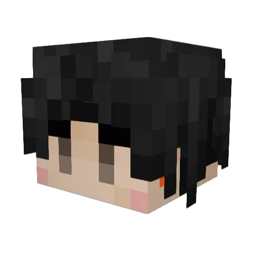 Bais_ Minecraft avatar head, 3D render