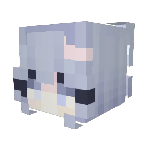 BaishaiT011 Minecraft avatar head, 3D render