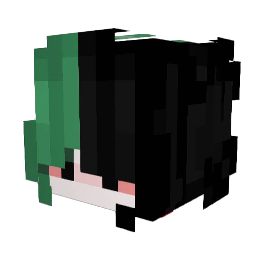 Baj1ao Minecraft avatar head, 3D render