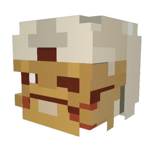 BajaBlast__ Minecraft avatar head, 3D render