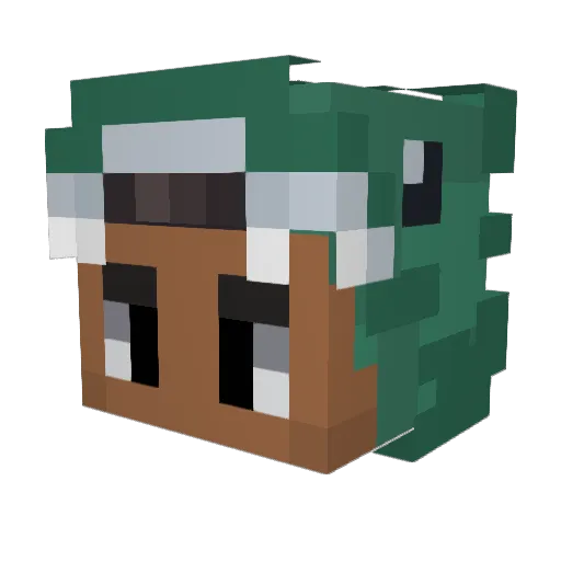 BajaPandas51 Minecraft avatar head, 3D render