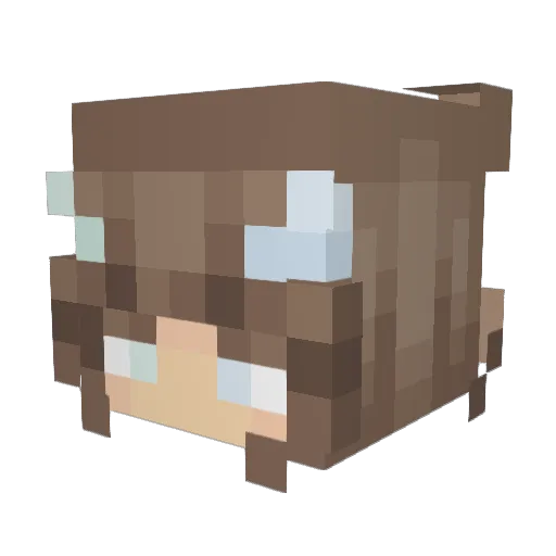 Baja_x3 Minecraft avatar head, 3D render