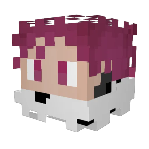 Bajabl45t Minecraft avatar head, 3D render