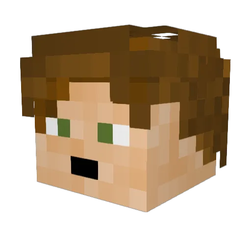 Bajadafresh Minecraft avatar head, 3D render