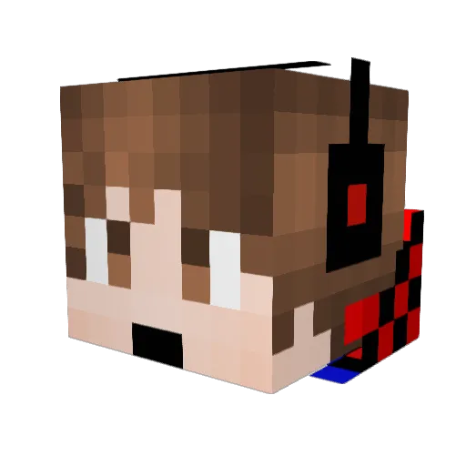 Bajan_Canadian0 Minecraft avatar head, 3D render