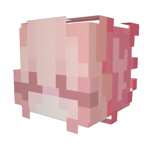 Bajonnette Minecraft avatar head, 3D render