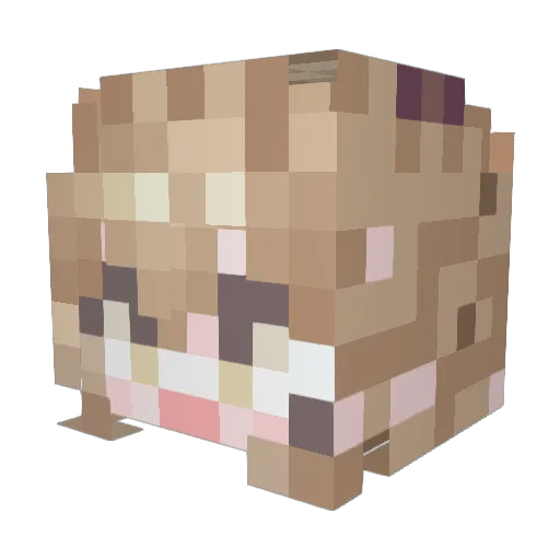 BakHoP Minecraft avatar head, 3D render