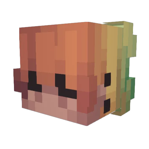 BakaAsuka Minecraft avatar head, 3D render