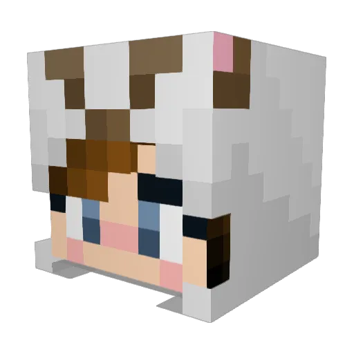 Bakaesis Minecraft avatar head, 3D render