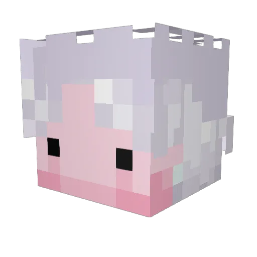 Bakarazuu Minecraft avatar head, 3D render