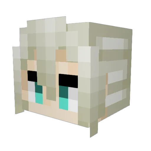 Bakasable44222 Minecraft avatar head, 3D render
