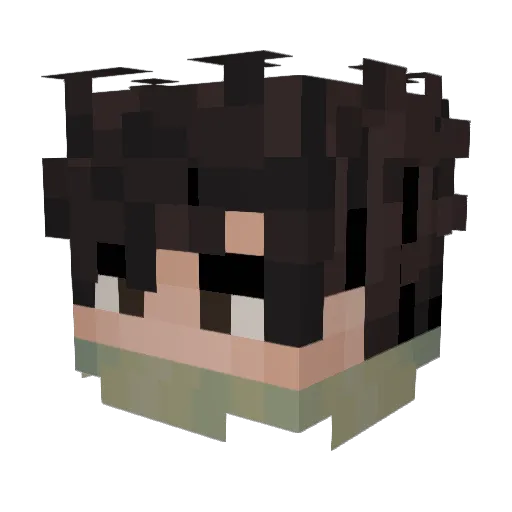BakedB33ns Minecraft avatar head, 3D render