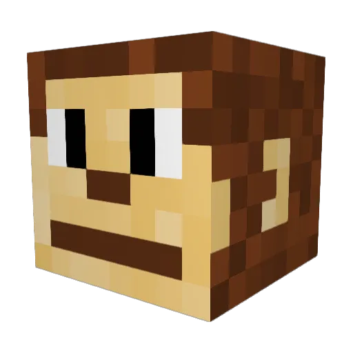 BakedBeans31 Minecraft avatar head, 3D render