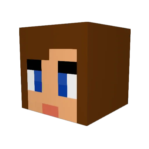 BakedBeans98 Minecraft avatar head, 3D render