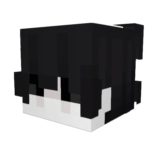 BakedPotato_0 Minecraft avatar head, 3D render