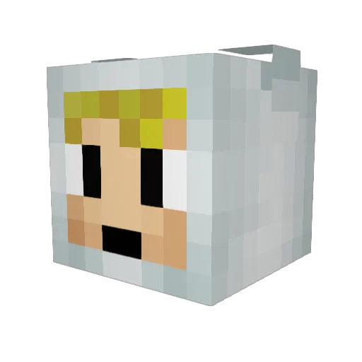 BakedRhys Minecraft avatar head, 3D render