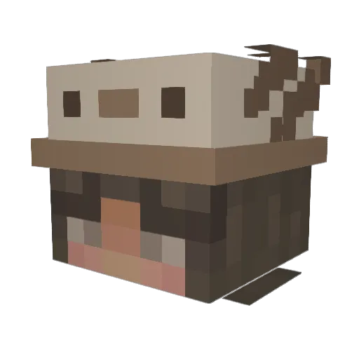 Baked_Beans__ Minecraft avatar head, 3D render