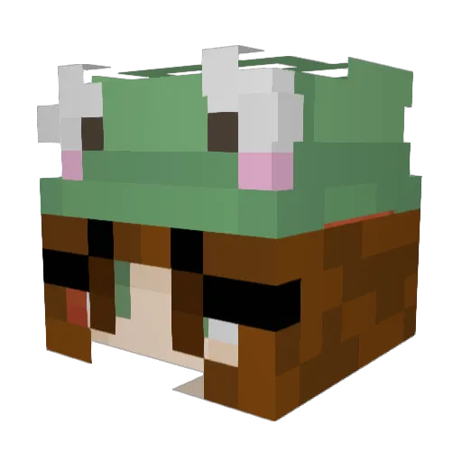 Baked_Beansssss Minecraft avatar head, 3D render