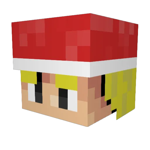 Baked_Kermit Minecraft avatar head, 3D render