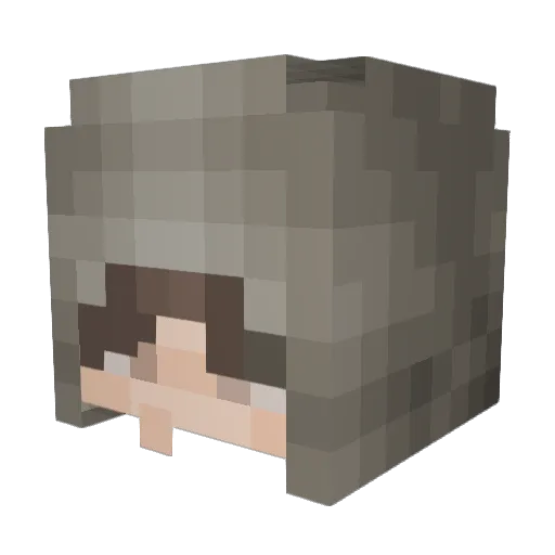Bakedbeans7312 Minecraft avatar head, 3D render