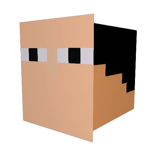 Bakenatr Minecraft avatar head, 3D render