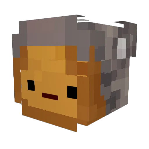BakerKatze Minecraft avatar head, 3D render