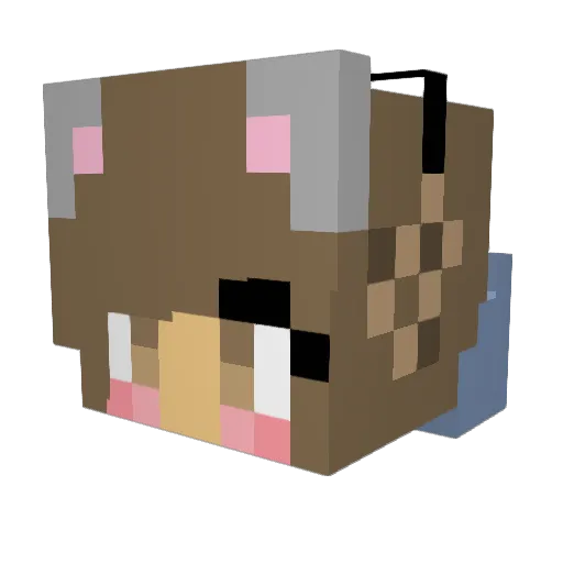 BakerMeg Minecraft avatar head, 3D render