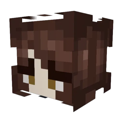 BakkeddBeannn Minecraft avatar head, 3D render