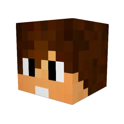 BakkiN2389 Minecraft avatar head, 3D render