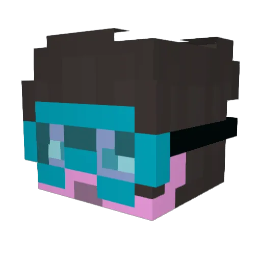 Bakkie_ Minecraft avatar head, 3D render
