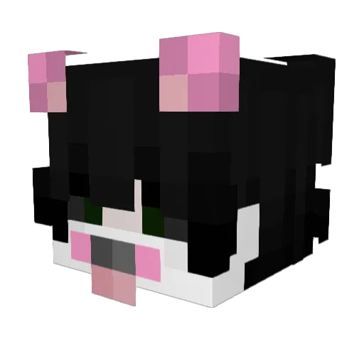 Baknus Minecraft avatar head, 3D render