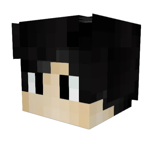 BakpawPay Minecraft avatar head, 3D render